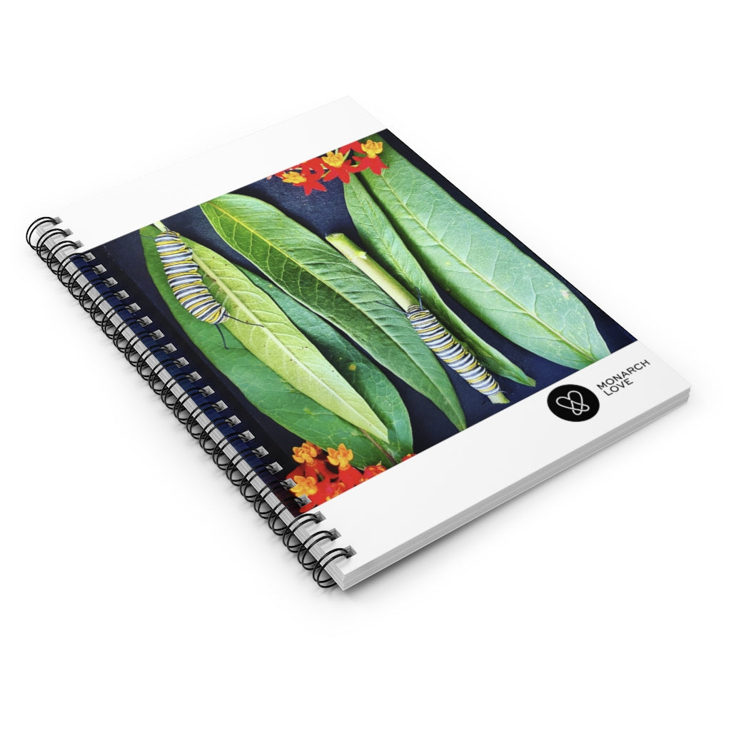 Monarch Love - Two Caterpillars - Spiral Notebook - Ruled Line