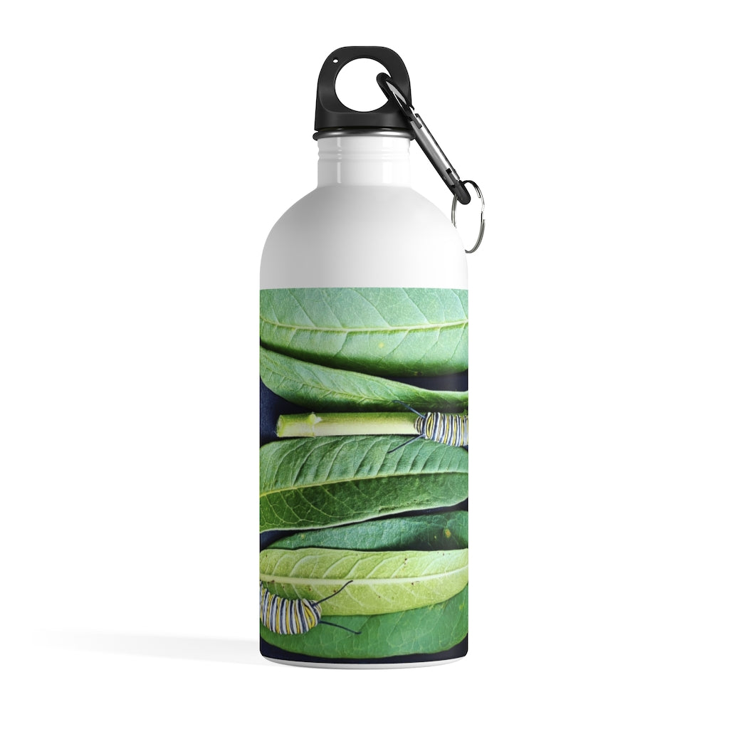 Monarch Love - Caterpillars - Stainless Steel Water Bottle