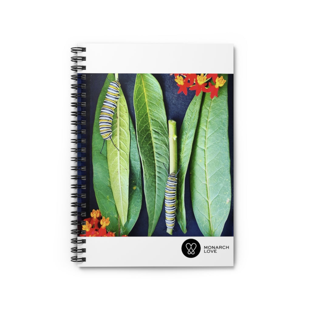 Monarch Love - Two Caterpillars - Spiral Notebook - Ruled Line