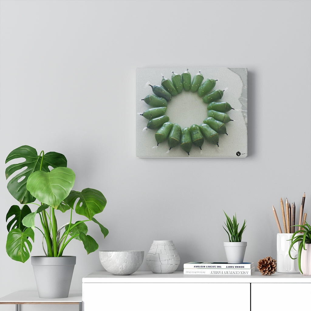 Monarch Love - Circle of Chrysalises - Canvas Gallery Wraps